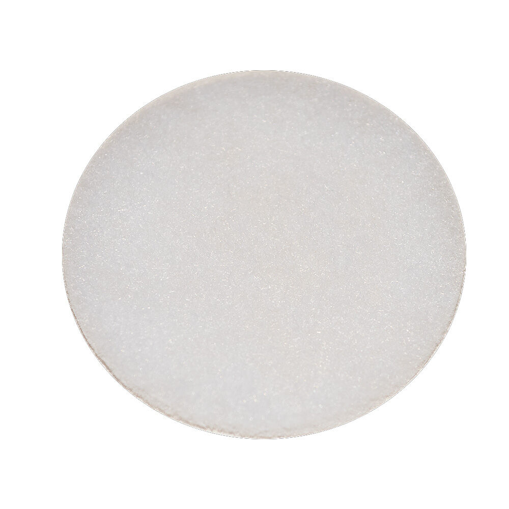 Sprintus Motorschutzfilter für Floory, Era, T11, Maximus