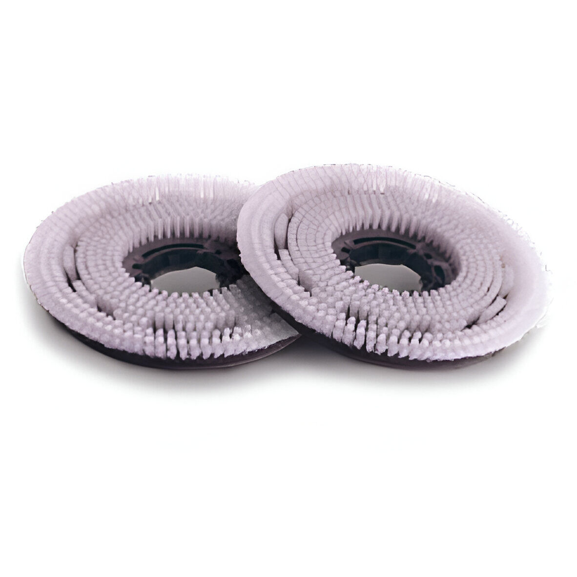Numatic Nylon-Scheuerbürste, Doppelpack Numatic Nylon-Scheuerbürste, Doppelpack