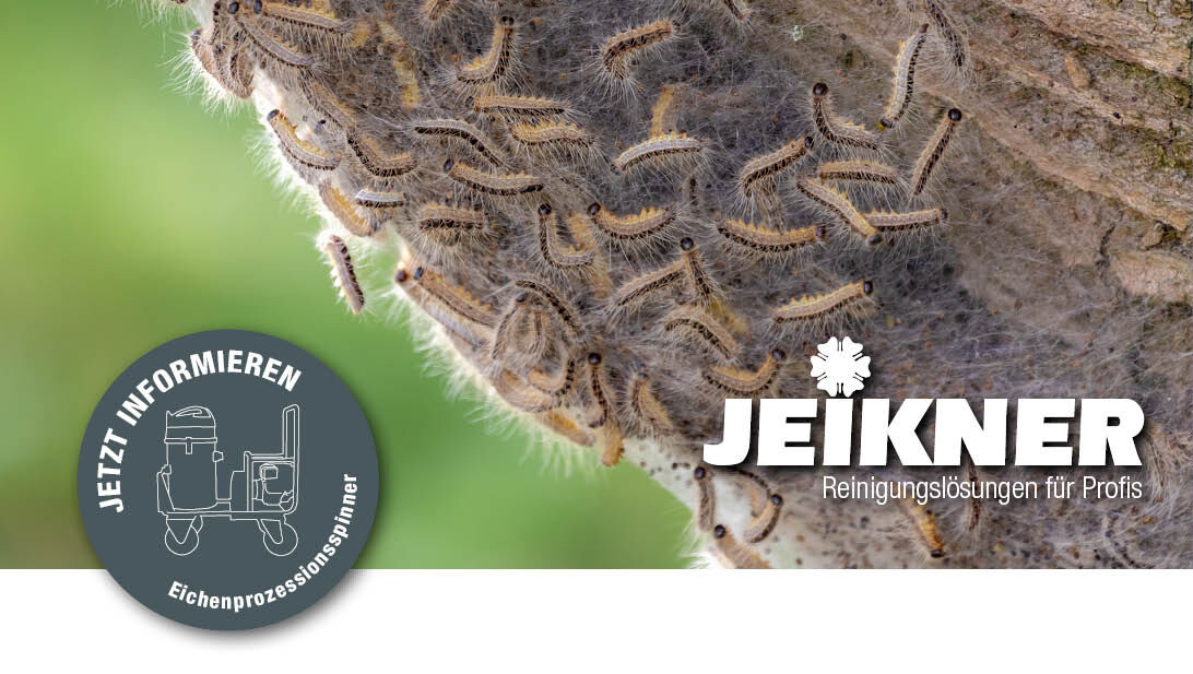 skyVac ForestryVac – Eichenprozessionsspinner einfach absaugen