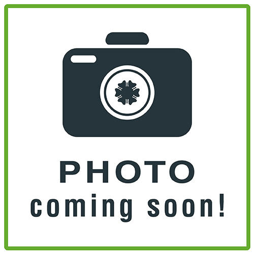 Spülbürste, Oval, Roßhaar Spülbürste, Oval, Roßhaar