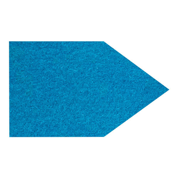 Excentr EDS Pad Blue 800 Grit (30-50)